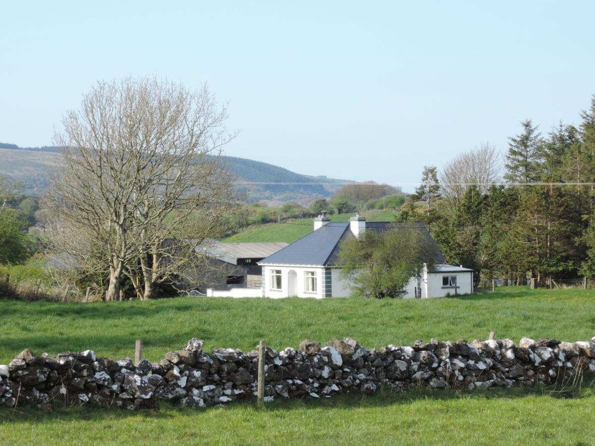 Villa Green Acres Self Catering Claremorris Exterior foto